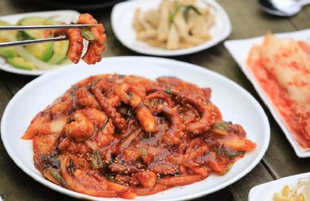 [酒먹방] 인제 내린천 절벽 위 낙지요리 맛집