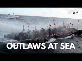 Dramatic capture operation of illegal Chinese fishing vessels in the Korea Sea