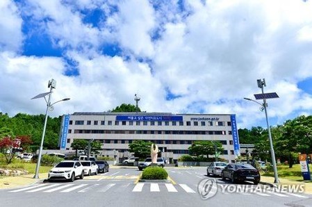'벌목 위기' 제천 금성∼청풍면 왕벚나무 재이식 추진