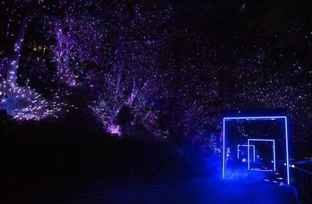 통영 빛의 정원 '디피랑'…머무는 관광에 일조