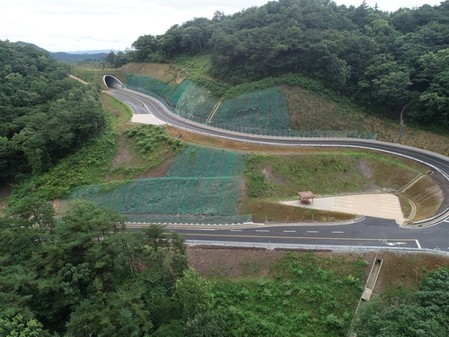 생태숲 훼손하며 140억 들여 개설한 이상한 도로엔 적막감만