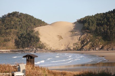 '동양 최대' 우이도 풍성사구 복원 놓고 민·관 머리 맞댔다