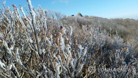 지리산 노고단 상고대 관측…지난해보다 열흘 빨라