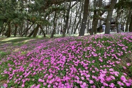 "서천서 승차형으로 생태여행 하세요"…7일부터 4차례 운영