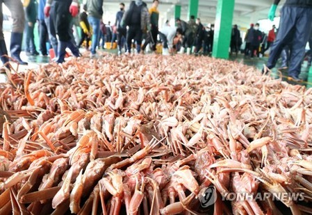 코로나19 지속에 경북 겨울축제 취소하거나 온라인으로