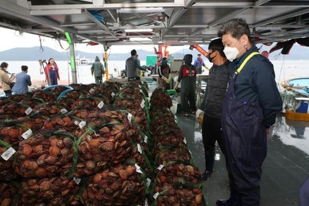 제철 맞은 고성 가리비 이름값 톡톡…온라인 판매 '쑥'