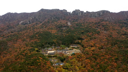 해남군, 매 주말 달마고도 걷기 행사 진행