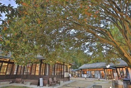 [imazine] 위로와 격려의 공간…한국의 숨은 민간 정원 ③ 나주