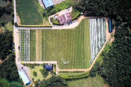 [酒먹방] 혀끝에 감도는 그윽한 오크향과 사과향
