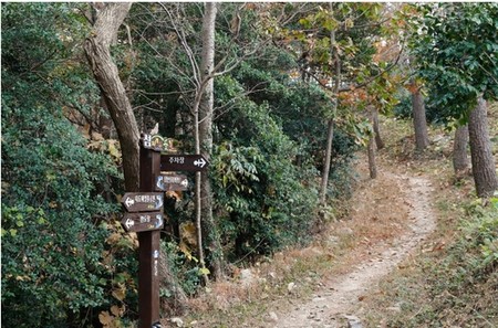 완도 군외-약산 '산림해양 치유길' 열렸다…1단계 58㎞ 완료