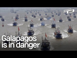 Chinese fishing fleets threaten Galapagos... S. Korea donates retired patrol vessels to rein them in