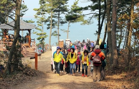 "명품 해변 산책로 함께 걸어요" 태안서 28일 솔향기길 축제