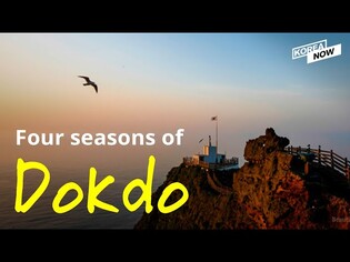 Four seasons of Dokdo, beautiful island of Korea guarding the East Sea