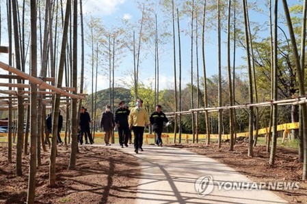 에쓰오일 조성 울산 태화강 백리대숲 구간 준공