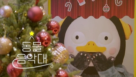 펭수, 캐럴 부를 '동물 음악대' 창단…박진영 등 섭외 나서