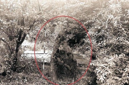 청동기시대 유적 추정 의정부 '선돌' 행방불명