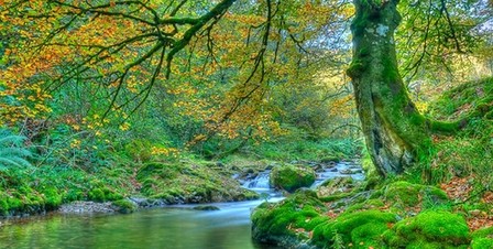 스페인관광청 한국어 SNS 채널 열어