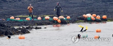 [제주시소식] 유네스코 인류 무형문화유산 해녀 현황 조사