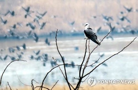 '생태 보고' 만경강의 4계…완주 누에에서 10일까지 사진전
