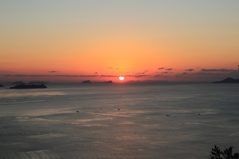 완도군, 해맞이 취소…코로나 확산 우려 완도타워도 폐쇄