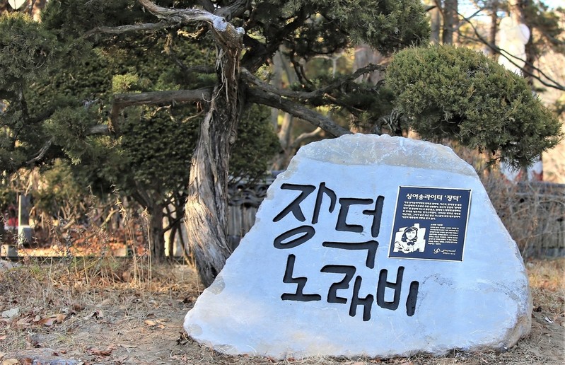 '천재 싱어송라이터' 故장덕 30주기 맞아 남이섬에 노래비