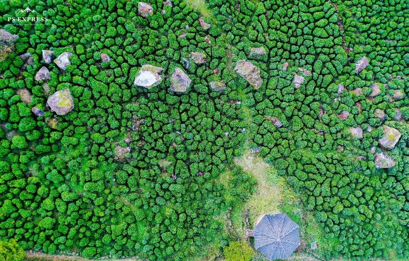 [여기 어때] 하동에서 맛보는 '잭살' 그리고 블렌딩 홍차