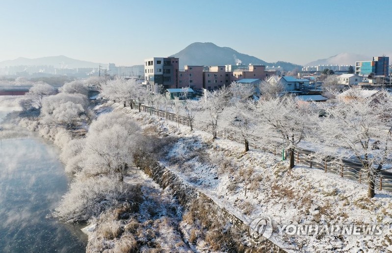 "엘사가 다녀갔어요" 최강 한파에 활짝 핀 소양강 상고대