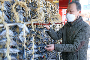 Dried saury