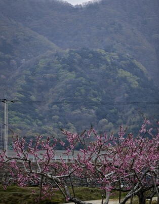 [Korean Beauty] Waiting for spring