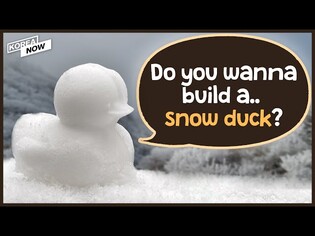 Snow ducklings and snowmen turn Korea into Winter Wonderland