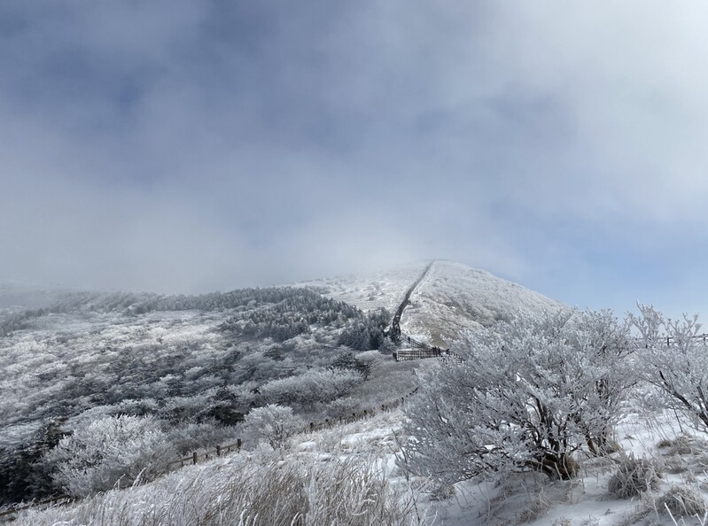 [픽! 단양] '눈꽃 왕국' 소백산 설경 장관