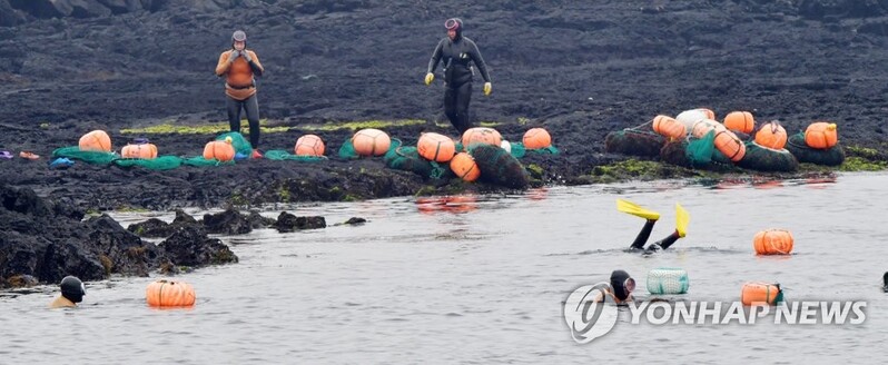 제주시 최고령 해녀는 91세…은퇴, 사망 등으로 4.5% 감소