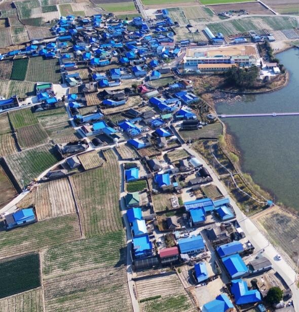 '코발트블루·노랑·주홍'…신안 섬마을 지붕색, 깔 맞춤한다