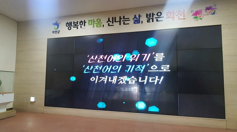 축제 취소를 기회로…화천군 산천어 25만 마리 전방위 판매전