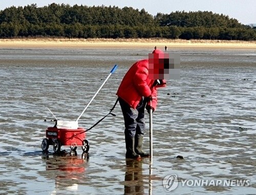 "수산물 남획 막자" 태안군, 불법 장비 사용 해루질 단속