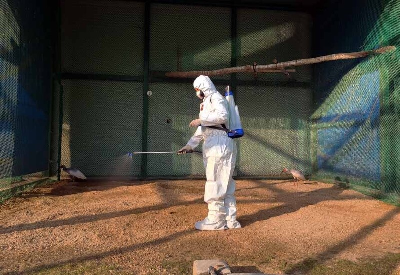 "우포따오기 지켜라"…창녕군 24시간 AI 비상 근무 돌입