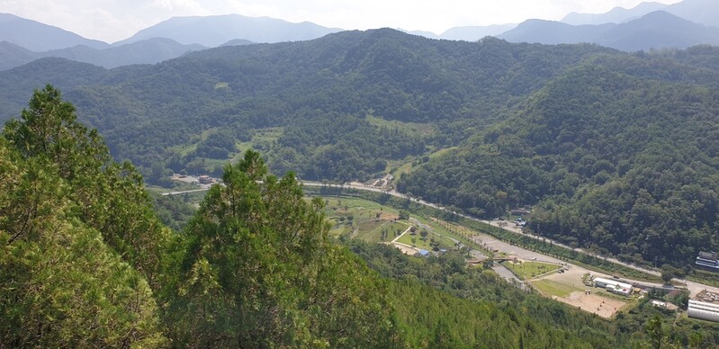 제천 수산 측백나무숲·옥순봉 생태관광지로 육성