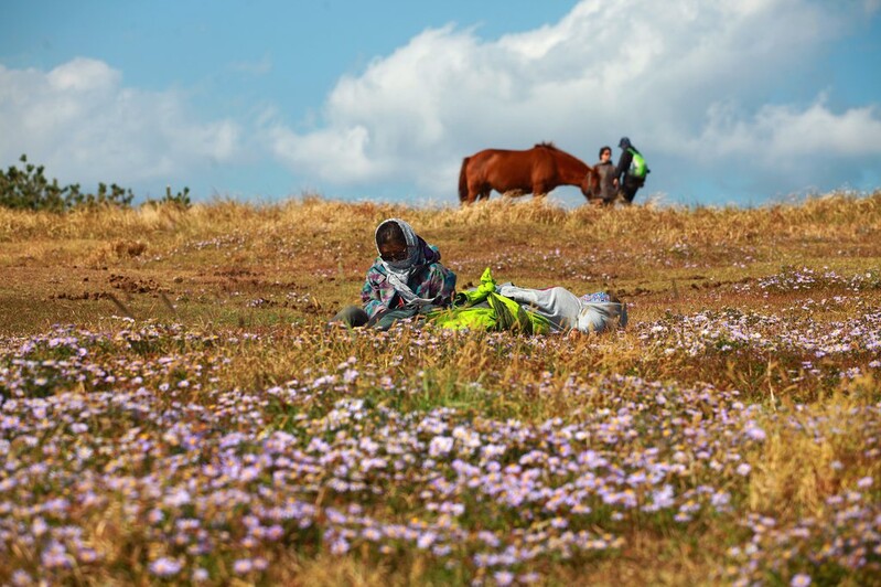 "제주 올레길 걸으며 치유" 코로나19로 완주자 71％ 늘었다