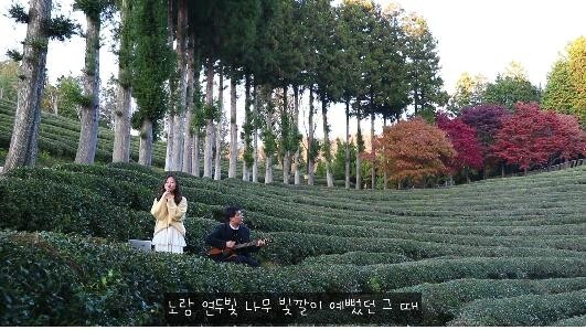 "녹차수도 보성 알린다"…'익사이팅 보성 영상대전' 수상작 선정