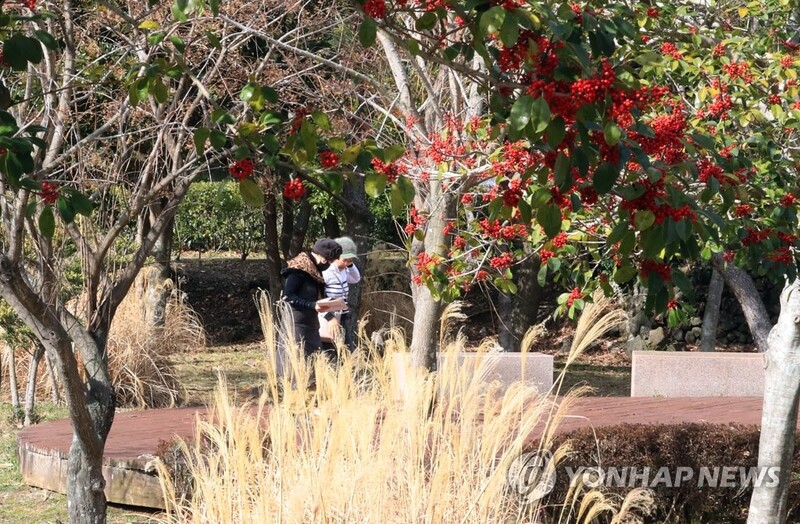 봄날 같은 휴일…마스크 쓴 나들이객 야외로