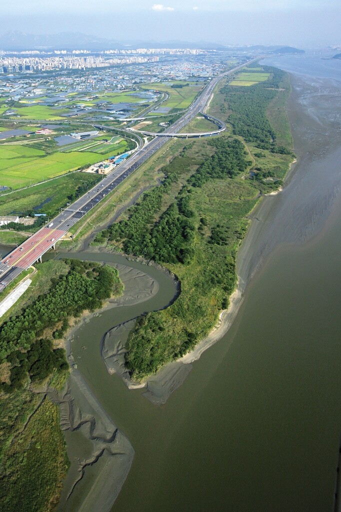 '도심 속 보물 장항습지'…고양시 4월 장항습지센터 착공