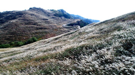 창녕군, 유네스코 생물권보전지역 등재 추진 박차