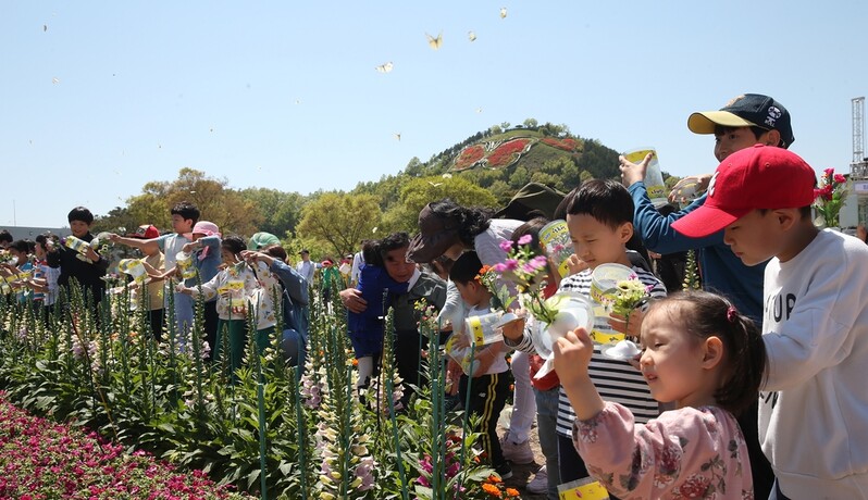 '전남 대표' 함평나비축제 올해도 취소