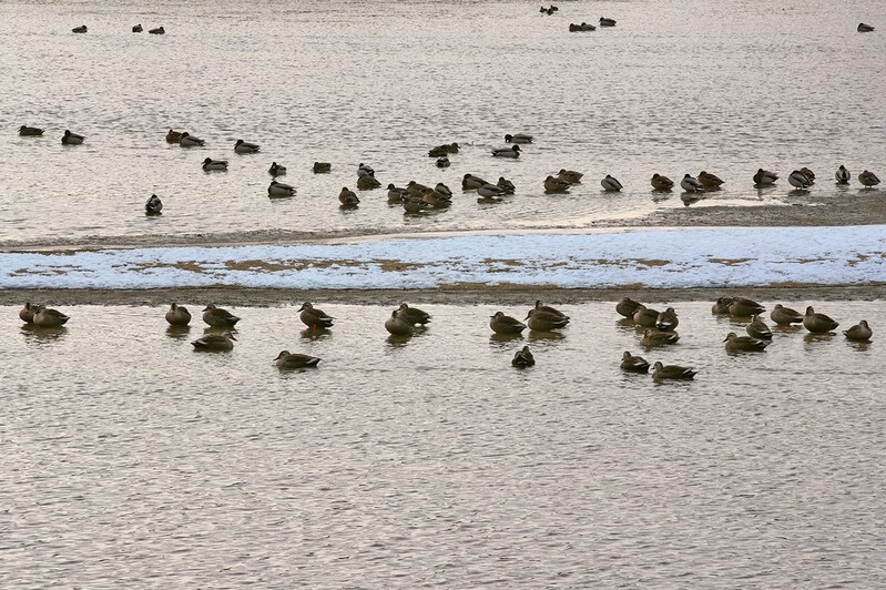 [걷고 싶은 길] 이순신 발자취를 따라 걷는 백의종군길