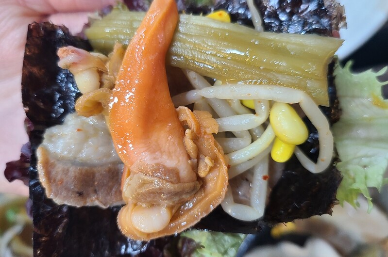 [알쏭달쏭 바다세상Ⅲ](1) 극강의 쫄깃함, 갈매기 부리 닮은 갈미조개