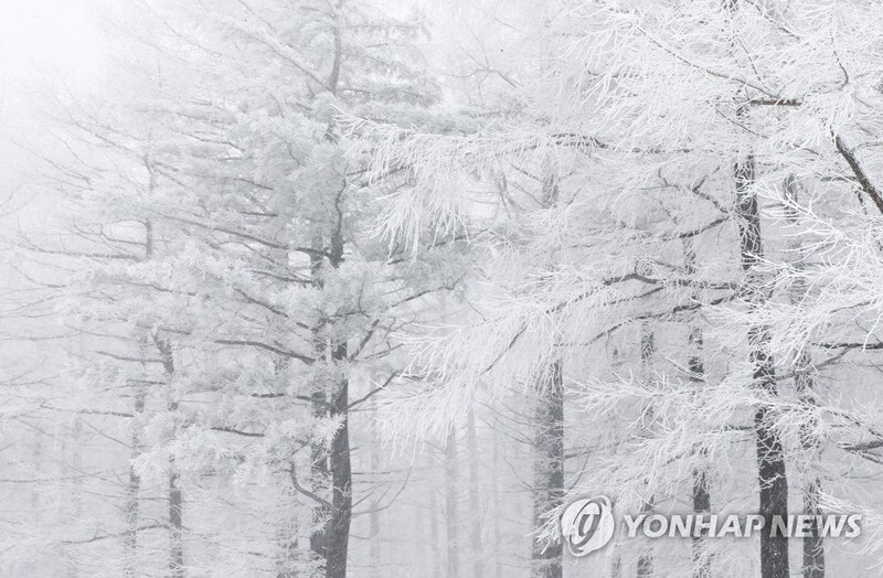 '운탄고도' 조성 사업 본격화…폐광지역 145㎞ 동서 횡단길