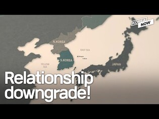 It's complicated! South Korea's white paper fallout