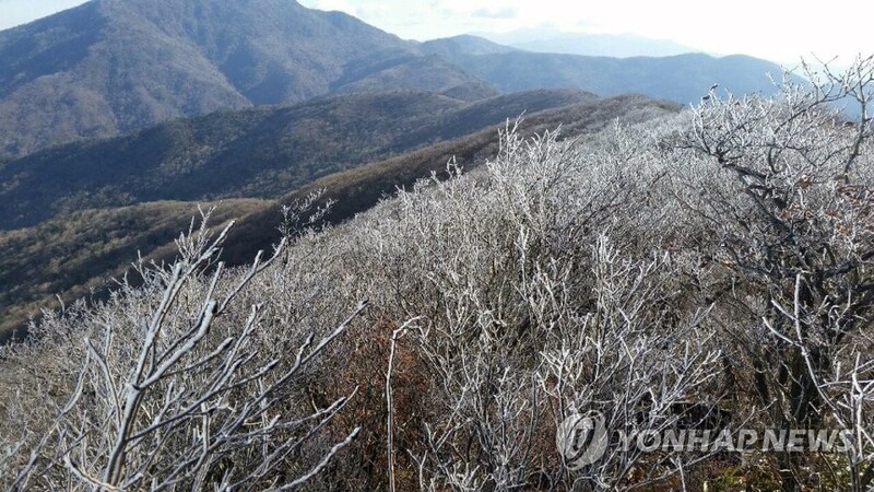 지리산국립공원, 봄철 산불통제 기간 일부 탐방로 제한