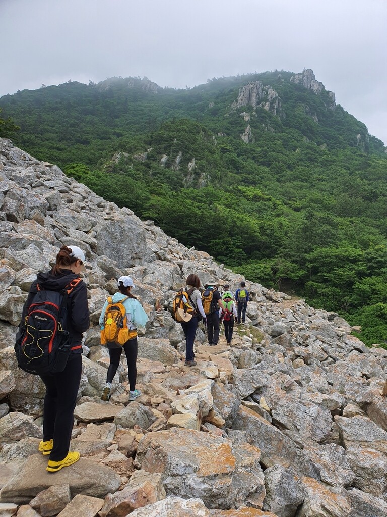 "산·숲길서 봄기운을 충전하세요"…해남군, 비대면 걷기 행사