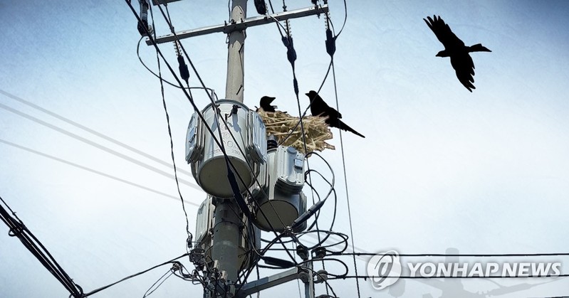 '새 둥지 때문에'…서울 송파구 150여세대 일시 정전